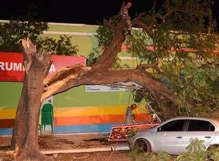 Árvore atingiu fios e causou interrupção do fornecimento de energia, em Corumbá (Foto: Diário Corumbaense)
