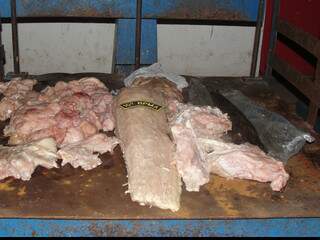 Carne de jacaré apreendida com caçador seria vendida como se fosse pintado. (Foto: Divulgação PMA)