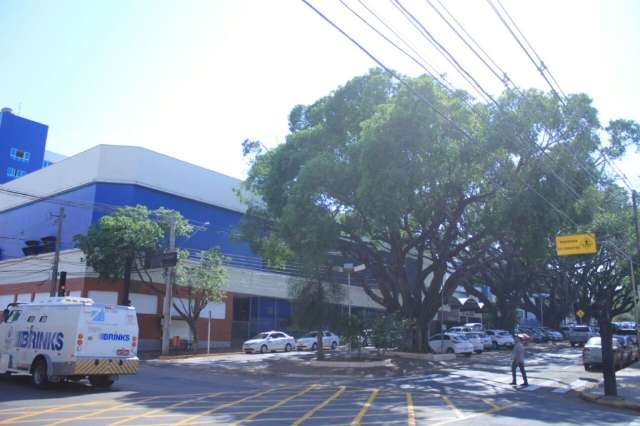 Prefeitura notifica dogueiros para deixarem canteiro na Mato Grosso