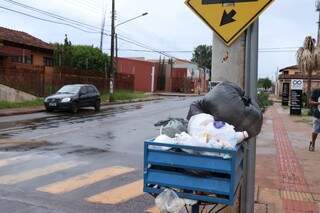 Lixeira no Bairro Coophasul lotada de sacos com lixo (Foto: Henrique Kawaminami)