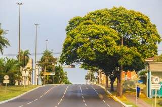 Dia amanheceu nublado e com vento de até 49 km/h na Capital. (Foto: Fernando Antunes)