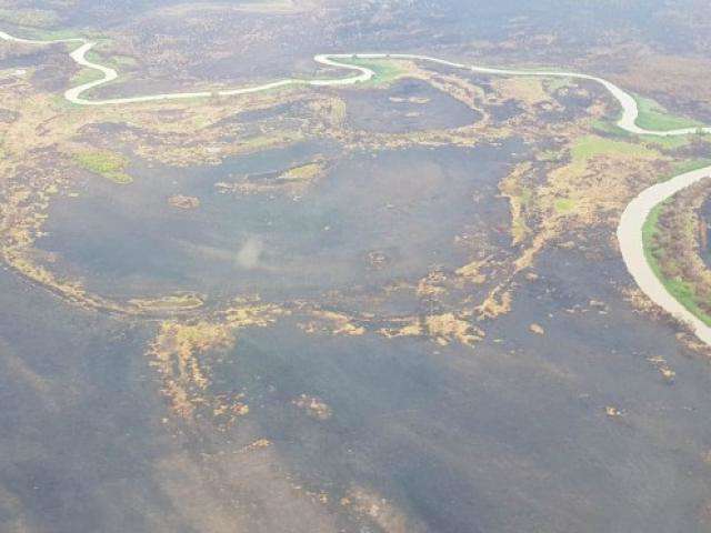 Com chuvas e fim de queimadas, for&ccedil;a-tarefa no Pantanal &eacute; desmobilizada