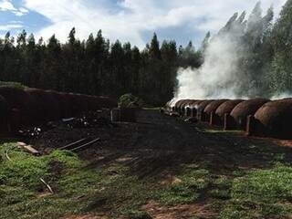 Grupo &eacute; resgatado de carvoaria onde vivia em situa&ccedil;&atilde;o de escravid&atilde;o 