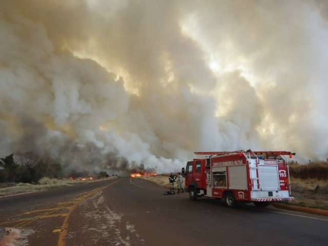 Inc&ecirc;ndio mata homem, bois e deixa parte da cidade Dourados sem energia