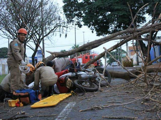 &Aacute;rvore seca despenca e fere casal que passava de moto por avenida