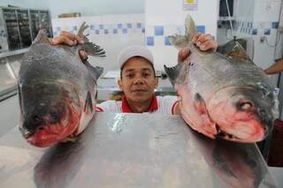 Peixarias de Campo Grande aumentaram em 20% os estoques de peixes para feriado da Semana Santa. (Foto: Marcos Ermínio)