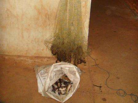 Dois pescadores s&atilde;o presos pela PMA utilizando tarrafa no rio Dourados