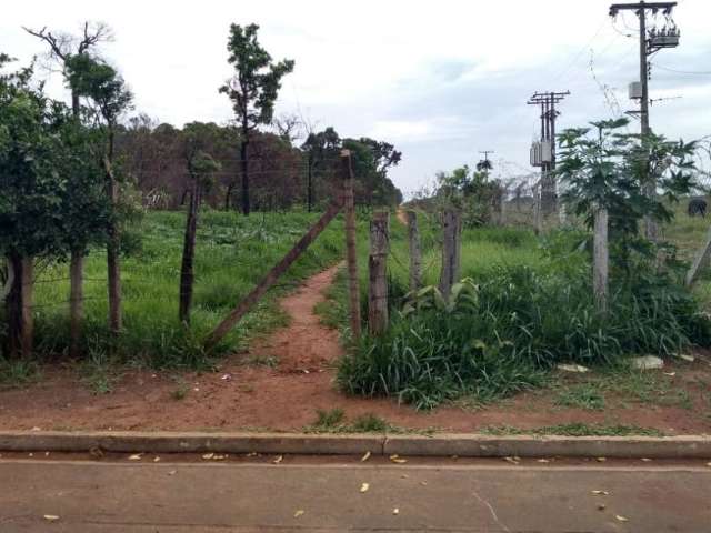 Jovem achada em matagal foi julgada e morta pelo &ldquo;tribunal do crime&rdquo; 