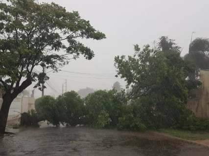 Chuva e vento forte causam transtorno em bairros da Capital