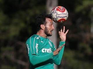 Edu Dracena treina forte para duelo com Ituano (Foto: Cesar Greco/Agência Palmeiras/Divulgação)
