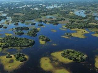 Região do Pantanal em Mato Grosso do Sul (Foto: Divulgação - Imasul)