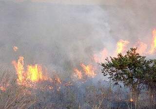 Corumbá registrou 537 focos de incêndio somente entre os dias 1º e 5 de agosto (Foto: Diário Online)