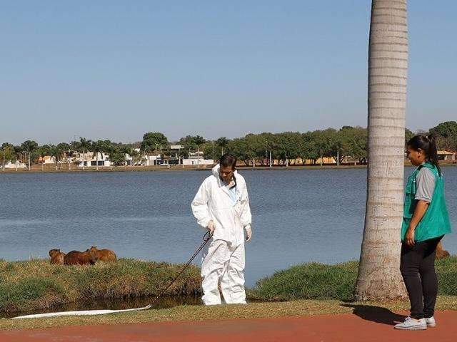 Prefeitura de MS faz varredura em parque p&uacute;blico em busca de carrapatos-estrela