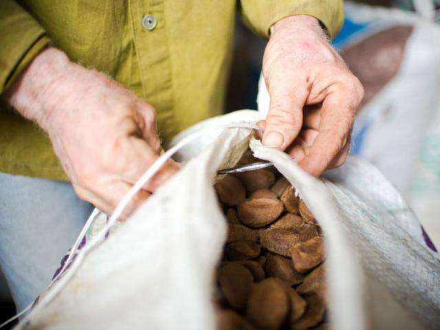 Minist&eacute;rio da Agricultura anuncia medidas de est&iacute;mulo a cooperativas