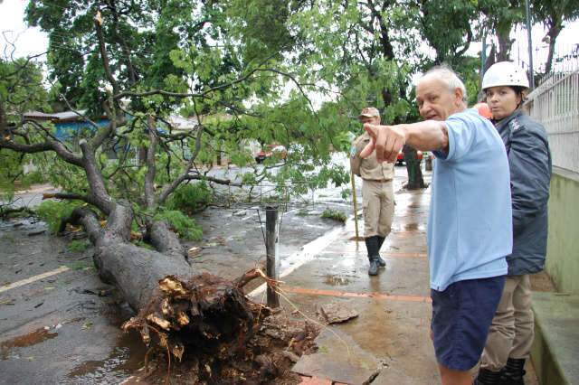  Chuva de granizo derruba &aacute;rvore sobre casa no bairro Taveir&oacute;polis