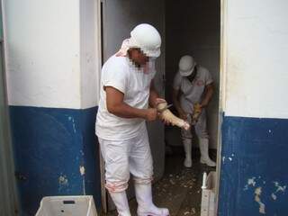 Funcionários trabalham sem equipamentos de proteção (Foto: Divulgação/MPT)