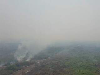 Céu do Pantanal sul-mato-grossense é tomado pela fumaça (Foto: Reprodução)