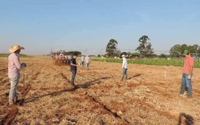 Funda&ccedil;&atilde;o aproveita estiagem para fazer experimentos com irriga&ccedil;&atilde;o