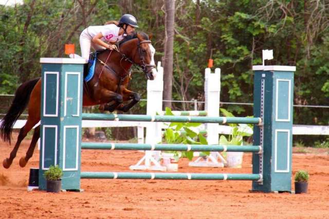 Hipismo abre Ranking Estadual 2015 com etapa em Campo Grande