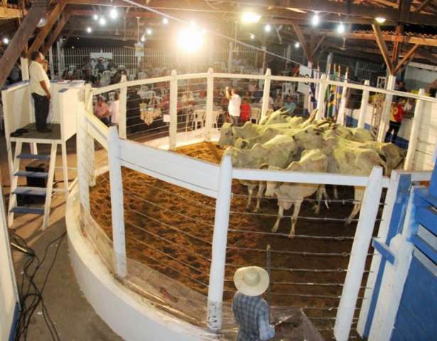 Feira Agropecu&aacute;ria do Pantanal come&ccedil;a hoje com grandes leil&otilde;es e shows