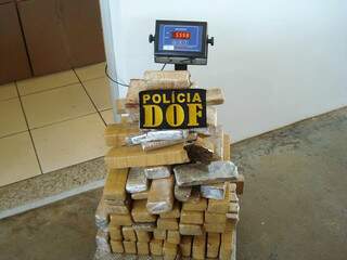 Tabletes de maconha apreendidos pelo DOF que seriam levados para o interior paulista. (Foto: Divulgação)