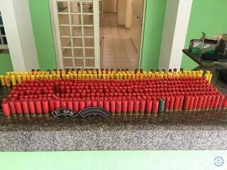 No total foram apreendidas 616 munições intactas e 25 deflagradas. (Foto: Alisson Silva/Edição MS)