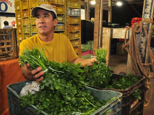  Agricultores estimam que reflexos das chuvas nas planta&ccedil;&otilde;es ser&atilde;o sentidos pelos pr&oacute;ximos 30 dias