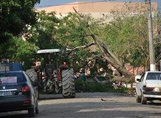 Existem árvores caídas em todas as ruas do centro da cidade. (Foto: Marcelo Calazans)