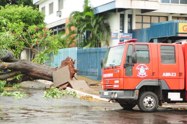&Aacute;rvore cai sobre carro e bloqueia rua no bairro S&atilde;o Francisco 