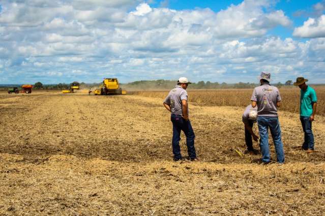 Produtor investe em tecnologia e dobra cultivo de gr&atilde;os em 10 anos