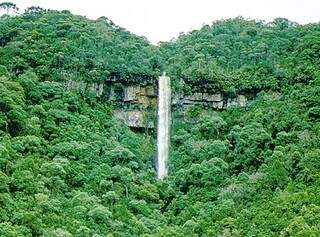 Cachoeira do Rio do Peixe, uma das mais conhecidas da cidade. (Foto: divulgação / Sebrae)
