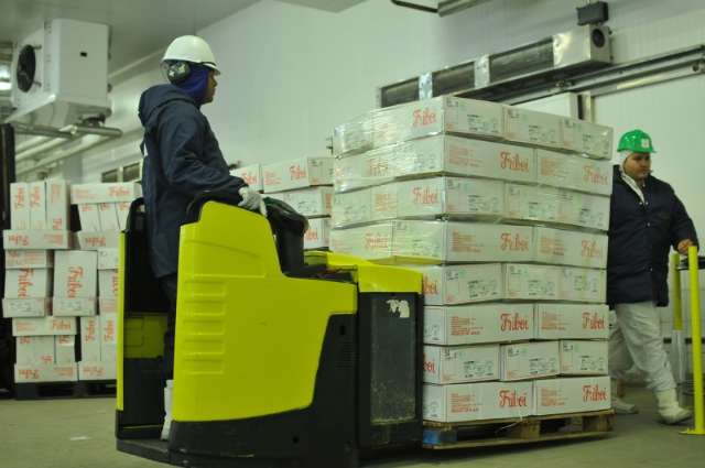 Frigor&iacute;ficos de MS iniciam exporta&ccedil;&atilde;o de carne in natura para os EUA