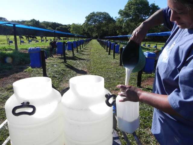 Fazenda que produz leite em 40 hectares &eacute; destaque em aula pr&aacute;tica