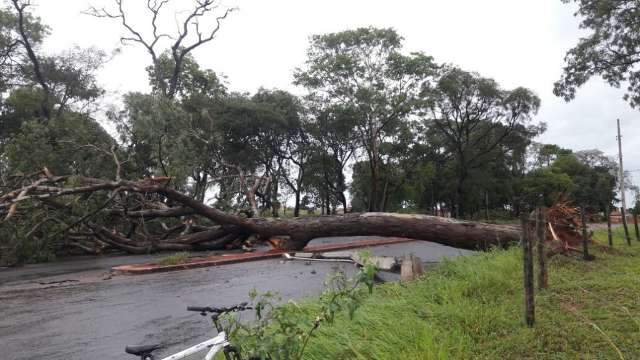 Temporal com ventos de 34 km/h derruba cobertura de est&aacute;dio