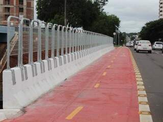 Grade de proteção colocada em cima de guarda corpo de concreto em viaduto (Foto: Paulo Francis)
