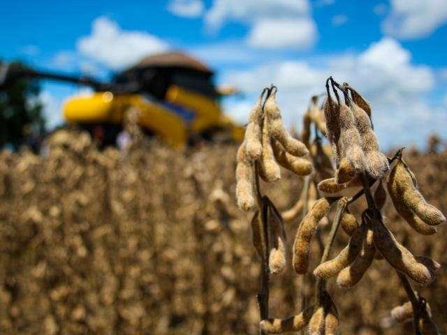 De olho nas varia&ccedil;&otilde;es do mercado, produtores atrasam venda da soja