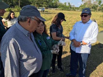 No Pantanal, ministro visita projetos voltados para conservação ambiental