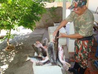Durante o período de Piracema, foram 667 quilos de pescado apreendidos e R$ 86,6 mil em multas aplicadas pela PMA. (Foto: Divulgação/PMA)