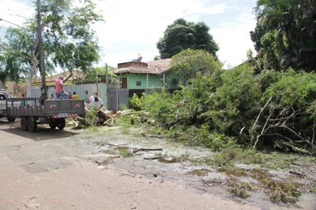 &Aacute;rvores s&atilde;o removidas somente 48 horas ap&oacute;s tempestade