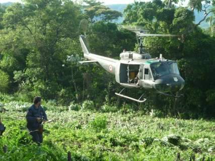 Operação destroi  500 toneladas de maconha plantadas no Paraguai