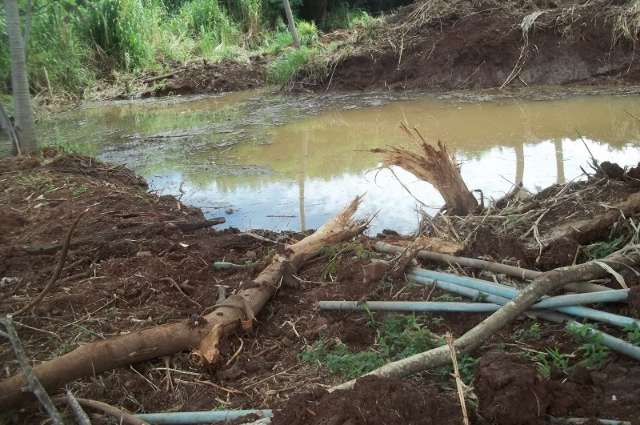 Moradora reclama de lagoa que serve de foco para a dengue