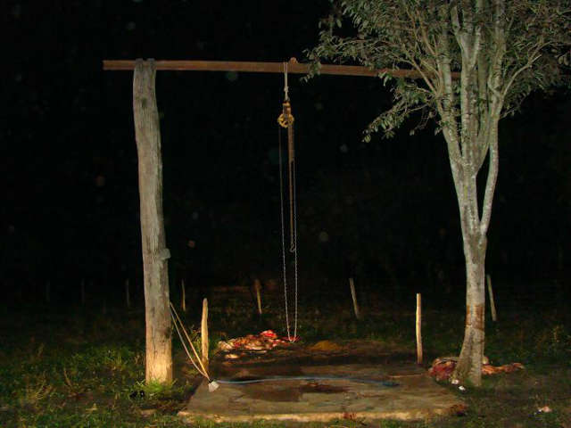  Seis s&atilde;o presos por abate, transporte e com&eacute;rcio de carne clandestina