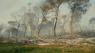 Quando a PMA chegou ao assentamento, a madeira ainda estava queimando. (Foto: Divulgação)