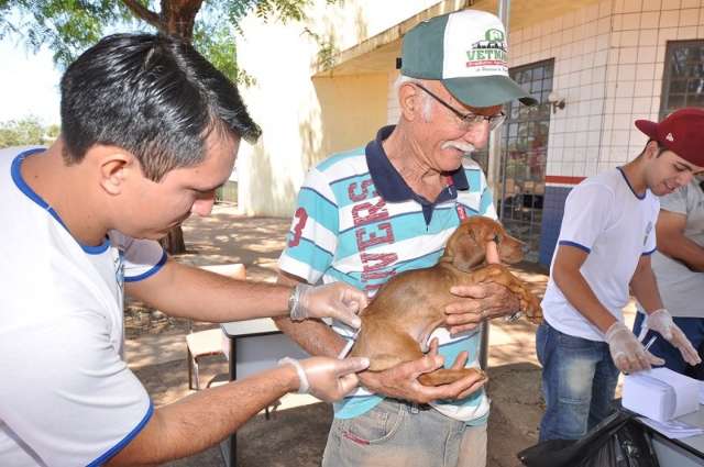 Dourados instala 58 postos para vacina&ccedil;&atilde;o de c&atilde;es e gatos contra raiva amanh&atilde;