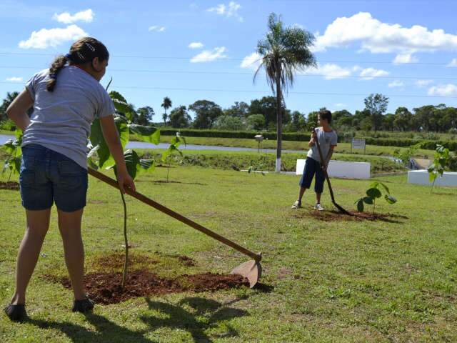  Crian&ccedil;as plantam mudas e d&atilde;o exemplo de consci&ecirc;ncia ambiental