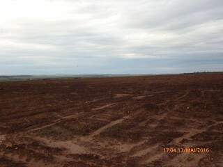 Imagem mostra área que era coberta por vegetação nativa desmatada (Foto: Reprodução/relatório Ibama)