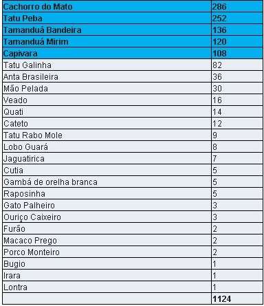 On&ccedil;a atropelada morre e entra para preocupante estat&iacute;stica 