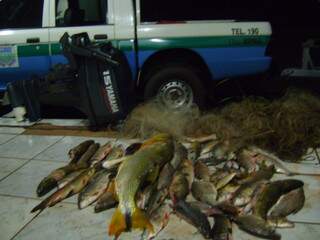 Peixes estavam fora da medida e com marcas de pesca predatória (Foto: Divulgação)