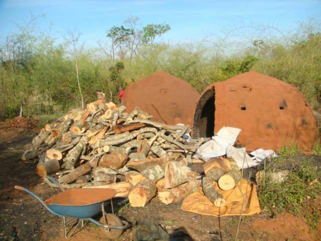  Carvoarias sem licen&ccedil;a ambiental s&atilde;o fechadas pela PMA em Terenos