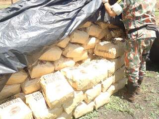 Policiais apreenderam 10 m³ de carvão de origem de madeira nativa produzido ilegalmente. (Foto: Divulgação)